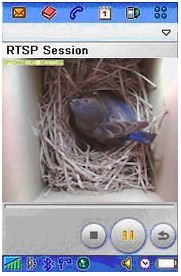 Image #3 of Wi-Fi Birdhouse Camera