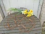 Ascalon Design Set Of 3 Garden Baskets In Wire Mesh - Vintage Rusty Iron Finish