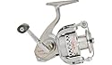 Incyte 11BB IT40F Spinning Reel
