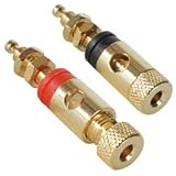 Gold Binding Post Pair