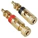 Gold Binding Post Pair