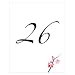 Cherry Blossom Table Number