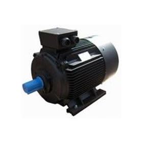 TEC Electric Motor 160kW 8 Pole Foot Mounted