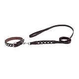 1 INCH X 6 FT - Olympus Leather Lead
