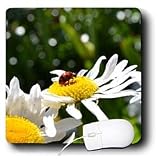 Patricia Sanders Flowers - ladybug and daisy - Mouse Pads