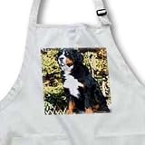 Dogs Bernese Mountain Dog - Bernese Mountain Dog - Aprons