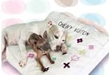 Chewy Vuiton - Dog Pillow or Bed by Haute Diggity Dog