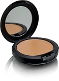MAC Select SPF 15 Moistureblend Foundation