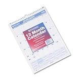 At-A-Glance(R) Wall Calendar, 8in. x 11in., January-December 2009