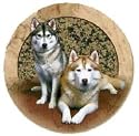 Set of Four Siberian Husky Ambiance Coasters - Style vpa24
