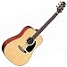 Takamine G340 Dreadnought Acoustic Guitar