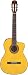 EC132C Acoustic Electric Guitar
