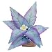 Blue Ribbon Flowering Broad Leaf Clstr Mini