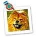 Chow Chow - 10x10 Quilt Square