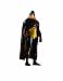 Search : Justice Society of America: Series 2: Hourman Action Figure