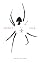Spiders Song by Anita Daher