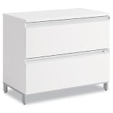 Bush Momentum White Lateral File