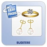 Revue Conitiv - Synchron  / Lexminder Anglais - Logiciel pour mémoriser du vocabulaire - Bijouterie