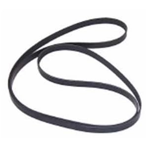 Serpentine Belt by