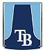 Tampa Bay Rays Backsack