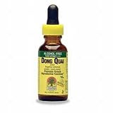 Dong Quai Root Liquid Extract - 1 oz.