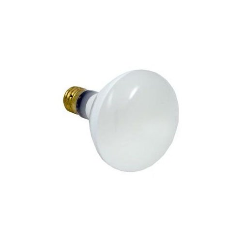 Hayward SPX0542Z4 R40 Bulb Replacement for Hayward Underwater Lights, 120