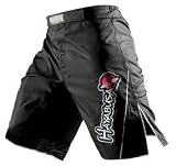 Hayabusa Kyuodo Fight Shorts