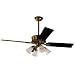 Hunter Ceiling Fans 21897 Covent Garden Fan - Burnished Brass Victorian Indoor Fan 56"