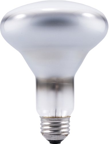 Sylvania 15172 65-Watt 130-Volt BR30 Indoor Flood, 6-Pack