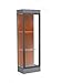 Waddell 91LFTC-BZ-cm Edge 24 x 76 x 20 in. Carbon Mesh Base Lighted Floor Display Case with 2 ft. Hinged Door & 6 in. Base44; Terra Cotta Back - Dark Bronze
