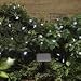 Solar Powered 50 LED Star Lights