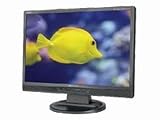 Review NEC 60002081 / Multisync¿ LCD 19WMGX, 19