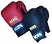 Aerobic Gloves 12oz