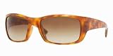 Ray-Ban 4149 Light Tortoise 803 51 59mm