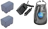 ValuePack (2 Count): Digital Replacement Battery PLUS Mini Battery Travel C ....