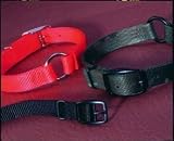 Hamilton Safe-rite Dog Collar With Tape Orange 1 X24 - SR-T 24 IN ORANGE