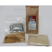 Kombucha Starter Kit - Blueberry Black Tea