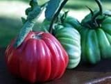 Poire Rouge Franchi Tomato 10 Seeds - From Italy - FREE SHIPPING ON ADDITIONAL HIRTS SEEDS ORDERED & PAID WITH ONE PAYMENT!