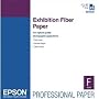 Epson Exhibition Fiber Paper - Glossy fiber paper - 13 mil - ANSI C (17 in x 22 in) - 325 g/m2 - 25 sheet(s)