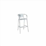 Regal Rochester 30 High Metal Frame and Aluminum Indoor Outdoor Bar stool 31 99dI%2BWyL. SL160 Regal Rochester 30 High Metal Frame and Aluminum Indoor Outdoor Bar stool