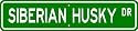Siberian Husky STREET SIGN ~ High Quality Aluminum ~ Dog Lover