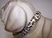 Kitchen & Housewares : Jungle Prince 14in Dog Collar Jaguar 1429