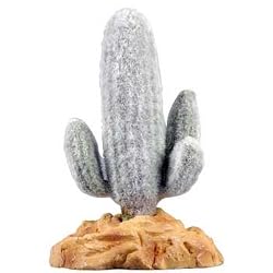 RZIL MEXICAN SAGUARO CACTUS 5"