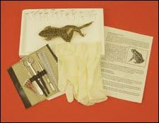 Individual Specimen Kit-Leopard Frog Advanced