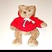 University of Georgia Herrington Teddy Bear with Red Hooded Sweatshirt