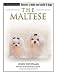 maltese43 - The Maltese TerraNova Dog Breed Series