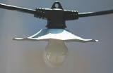 35 Foot 7 Light Heavy Duty Cafe String Lighting with Shade
