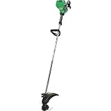 Weed Eater Reconditioned Gas-Powered String Trimmer - 25cc, Model# SST25