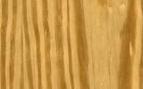 CAROLINA PINE Plain Sliced Veneer 2'X4' [CAPITOL CITY LUMBER]