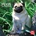 pug5  - Pugs 2010 Wall Calendar